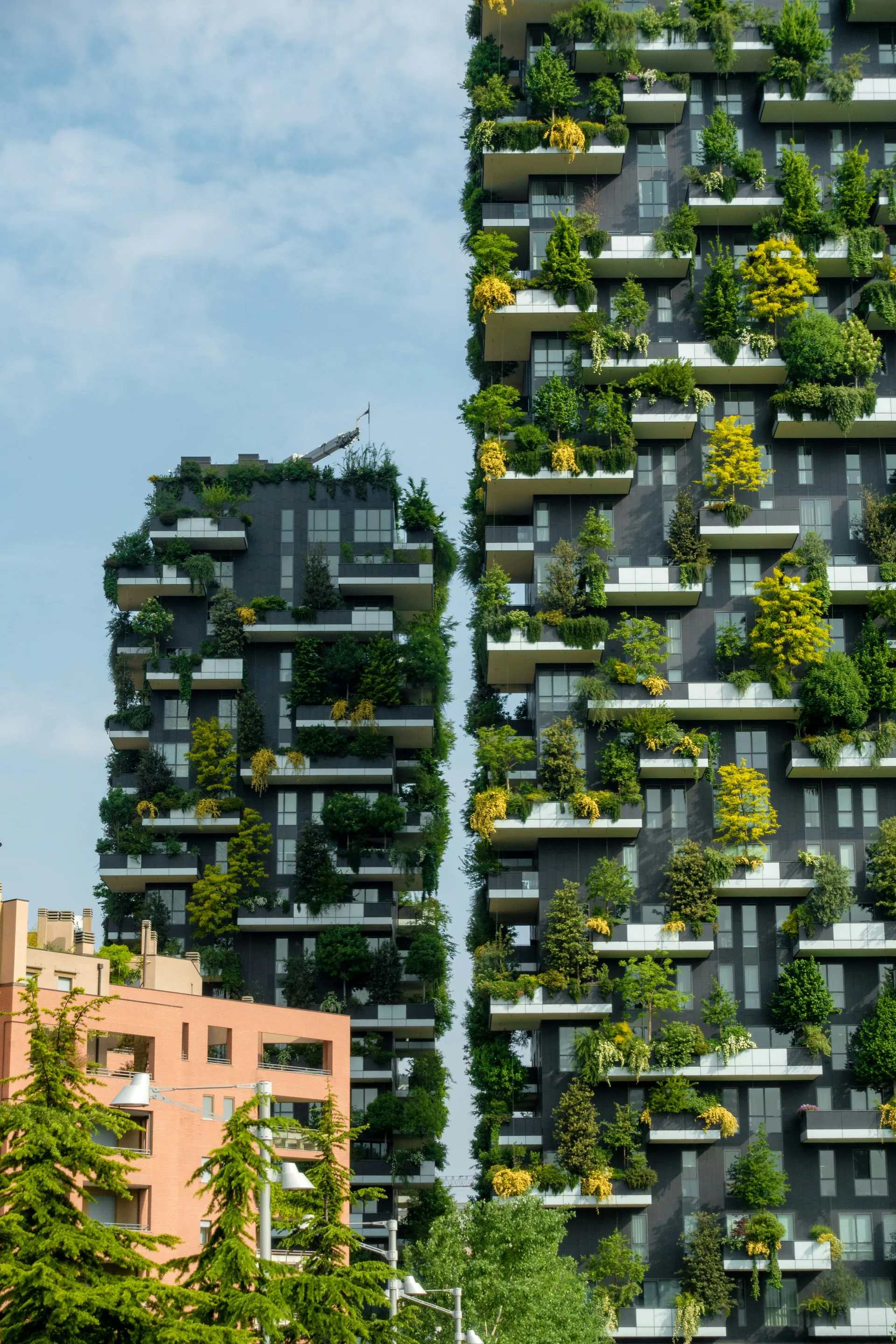 Comment la transition écologique transforme le secteur immobilier Changements pratiques