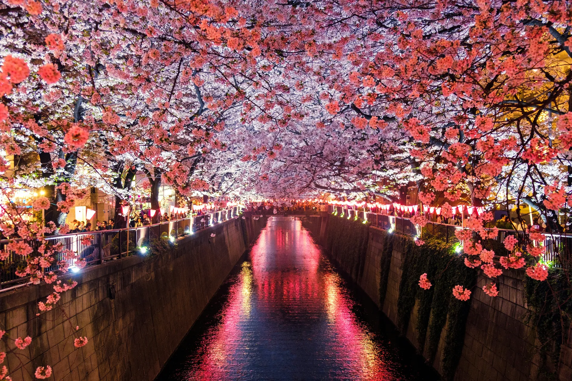 Top Best Tourist Places To Visit In Japan,General Travel Images:  Cherry blossoms in Japan during spring – travel to Japan in springtime.  Mount Fuji view with lake – iconic Japan travel destination.  Historic Japanese temple with red torii gates – must-see cultural site in Japan.  City Images:  Shibuya Crossing Tokyo – things to do in Tokyo, Japan.  Golden Pavilion Kyoto – top historic attractions in Kyoto, Japan.  Dotonbori Osaka at night – famous nightlife and food destination in Osaka, Japan.  Hiroshima Peace Memorial – historic World War II site to visit in Japan.  Fukuoka city skyline – modern city travel destination in southern Japan.  Nature and Landscapes:  Japanese garden at Kyoto Imperial Palace – best gardens to visit in Japan.  Moss forest on Yakushima Island – nature travel in Japan.  Ski resort in Hokkaido – winter travel destinations in Japan.  Cultural and Historic Sites:  Himeji Castle in cherry blossom season – best castles to visit in Japan.  Traditional geisha in Kyoto’s Gion district – cultural experiences in Japan.  Samurai district Kanazawa – historic towns to explore in Japan.  Festivals and Activities:  Japanese summer festival with fireworks – seasonal festivals in Japan.  People wearing yukata at summer festival – cultural activities in Japan.  Emergency and Safety Visuals:  Japanese public emergency phone booth – safety tips for travelers in Japan.  Koban police box in Tokyo – finding help while traveling in Japan.  Mobile Apps & Utilities:  Google Maps navigation in Tokyo – essential travel apps for Japan.  Checking train schedule on smartphone – using mobile apps in Japan for transport.