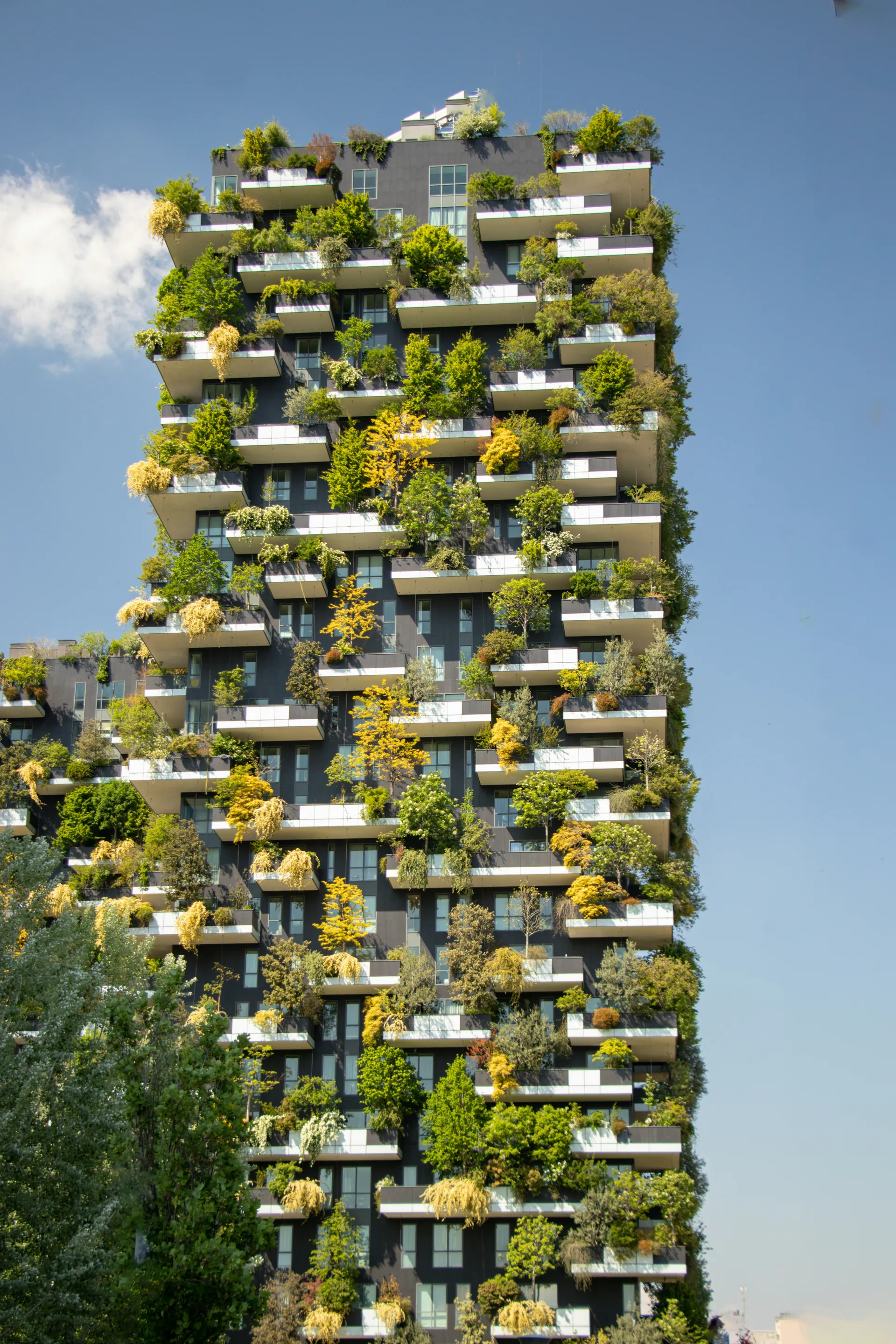 Matériaux écologique 
