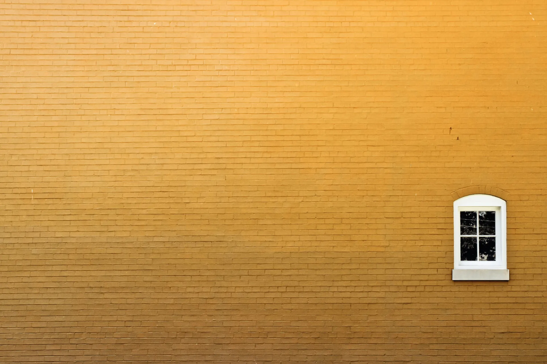 21562195641 - Nature's Sunshine Products