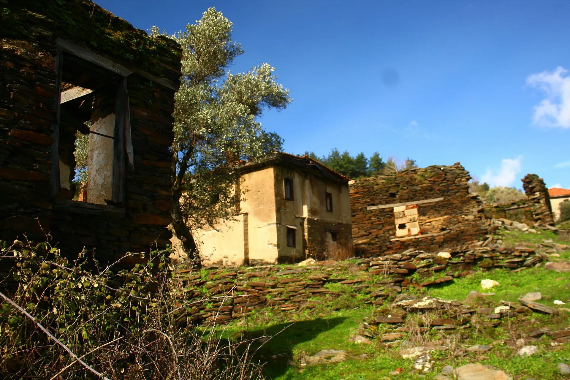 Maison délabrée