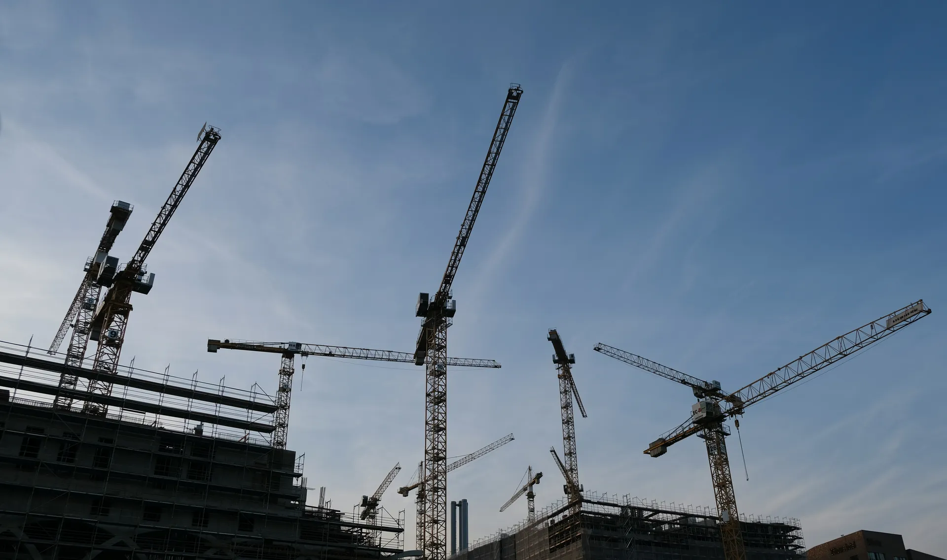 Plusieurs grues