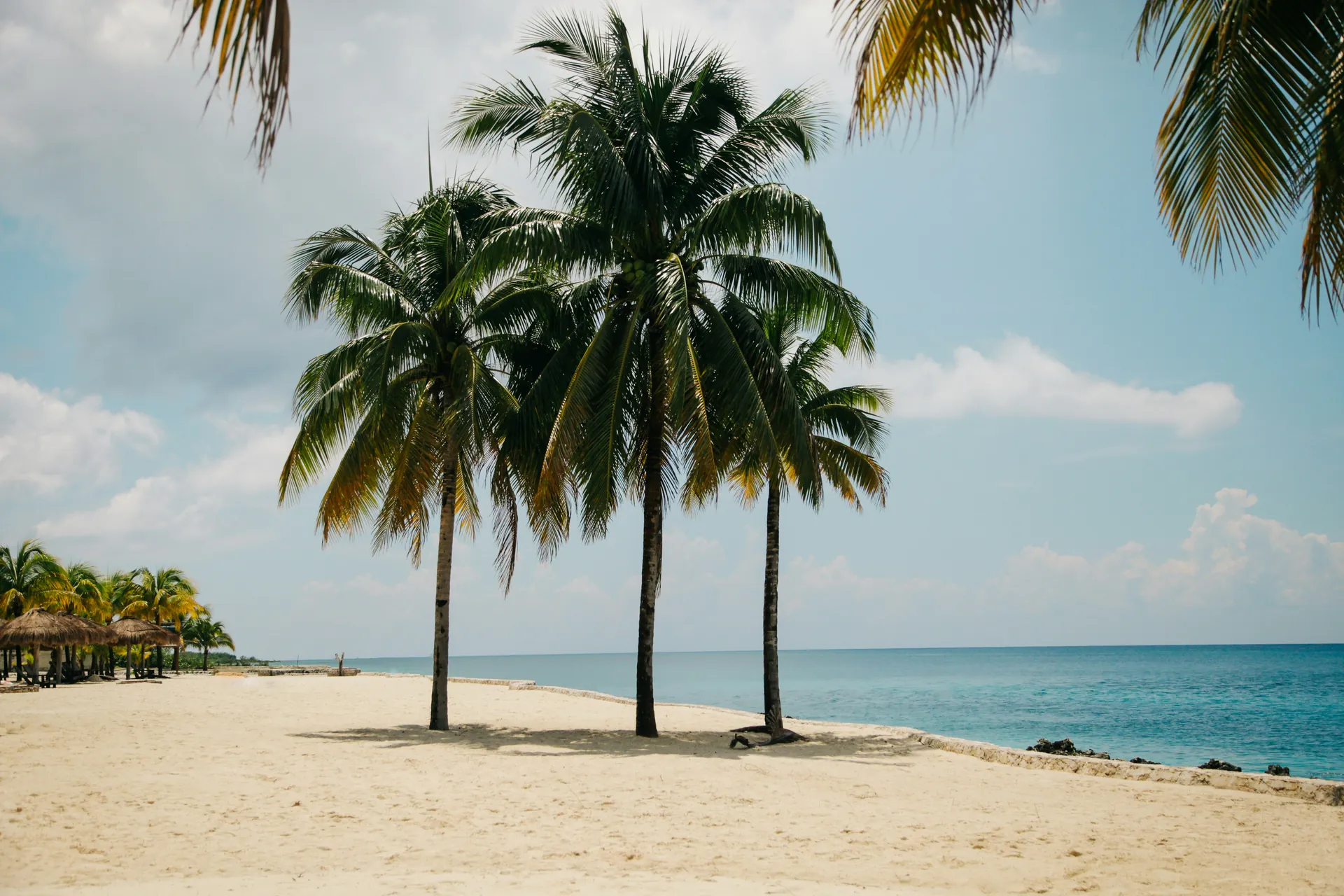 Tropical beach scene with palm trees on sandy shore in the Bahamas, clear blue sky, and turquoise ocean, perfect for elopements.