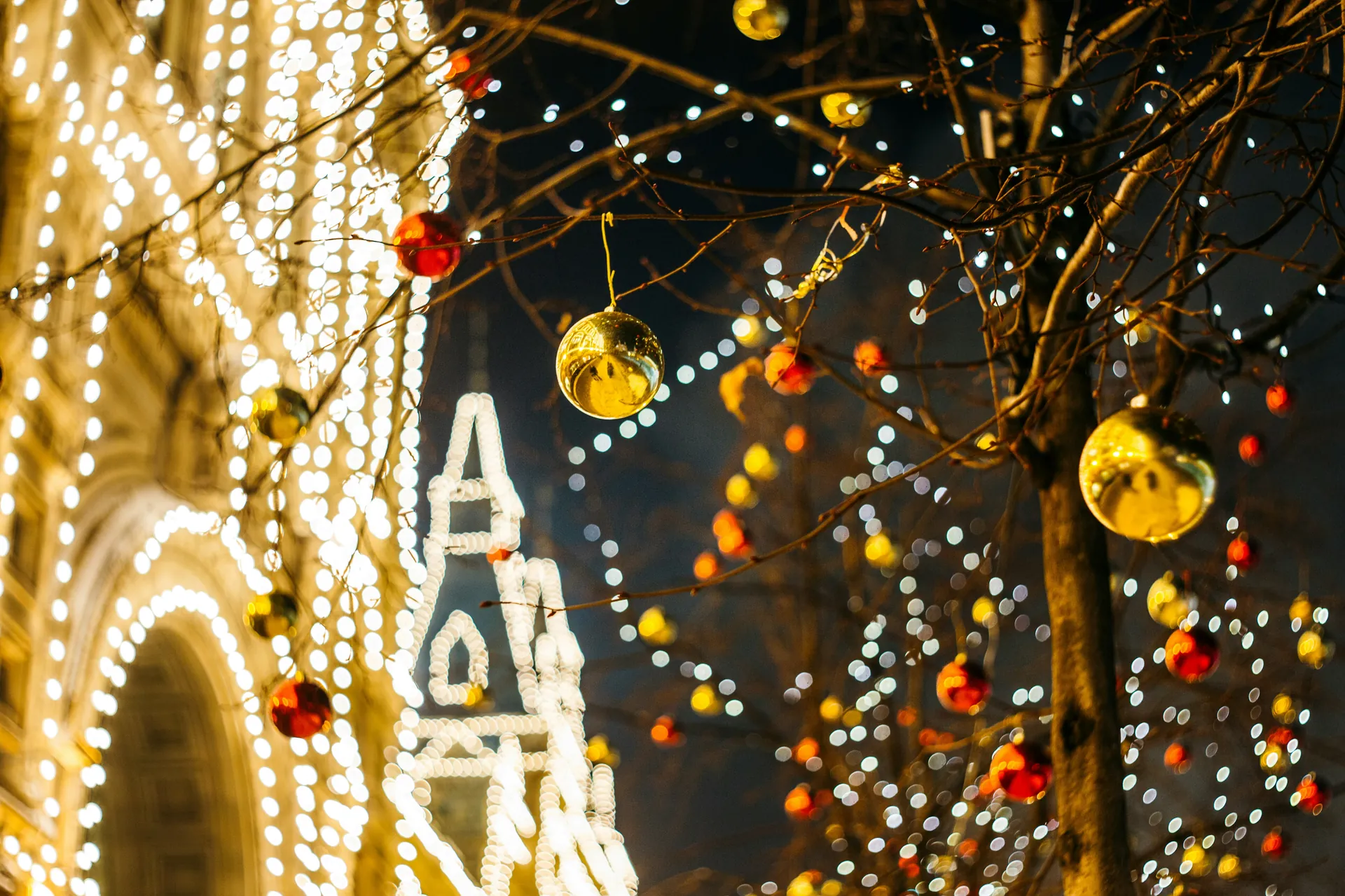 Décorations de Noël avec boules dorées et rouges suspendues aux branches d'arbres éclairés par des guirlandes lumineuses blanches.