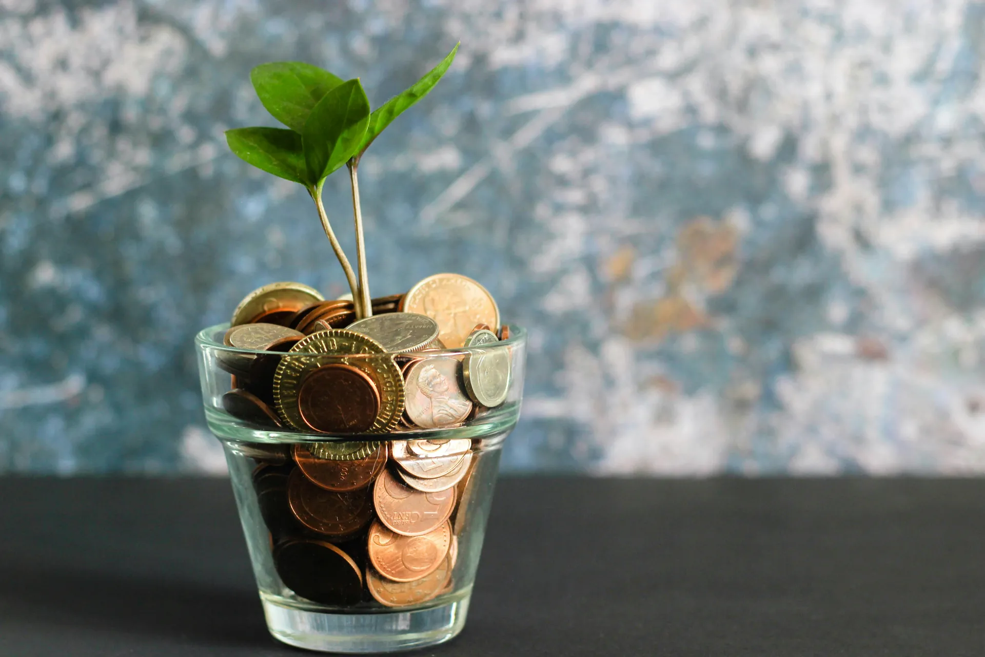 Pièces et plante dans un petit vase
