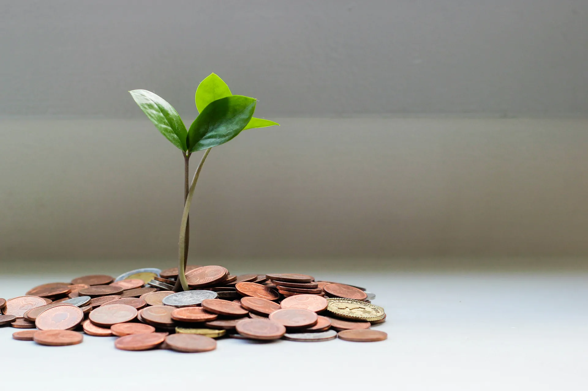 Définition : Qu'est-ce que le crédit Lombard ? Finance moderne