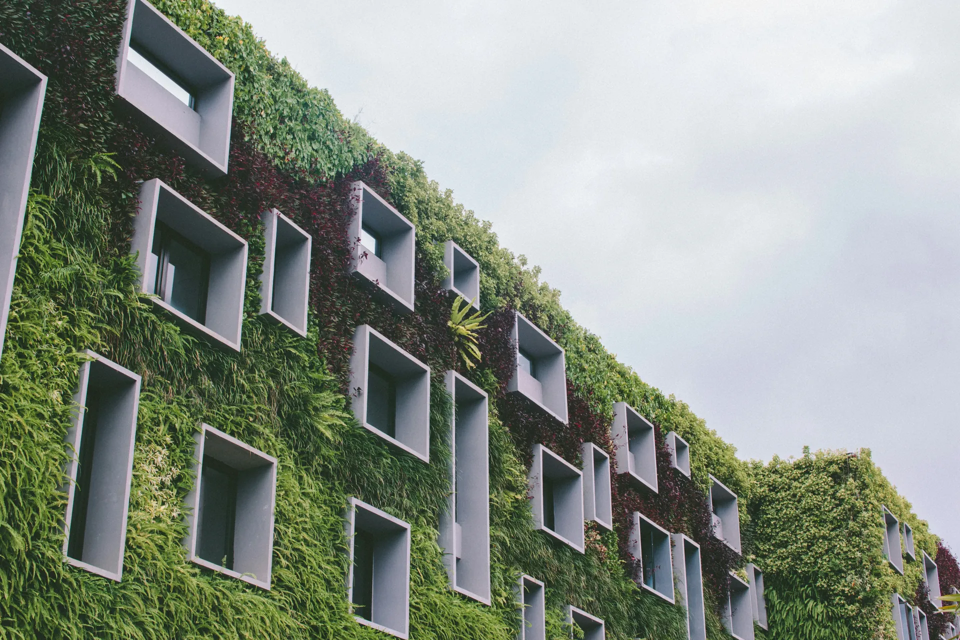 Comment la transition écologique transforme le secteur immobilier Technologies vertes