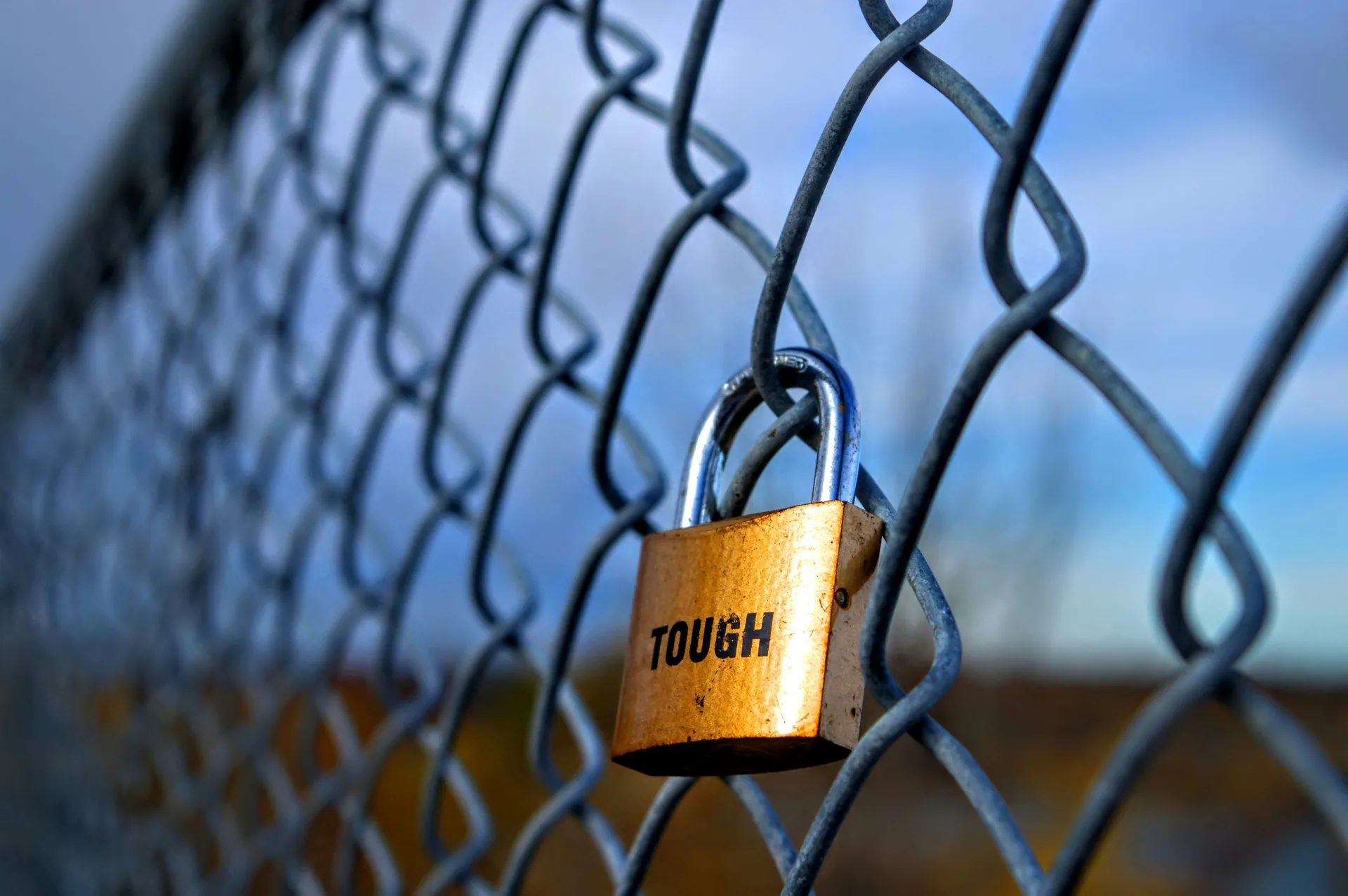 Cadenas sur un grillage