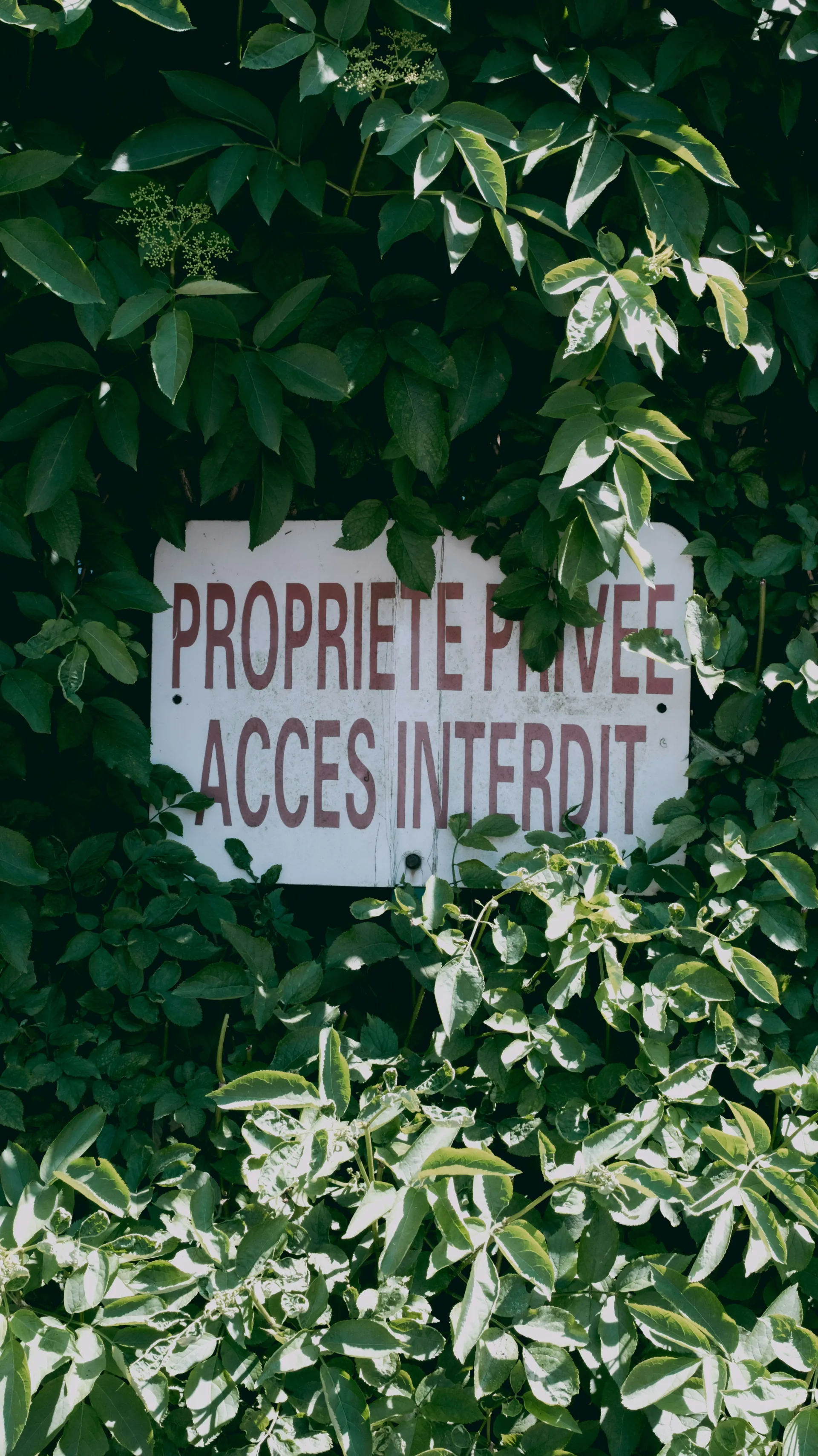 Buisson panneau propriété privé 