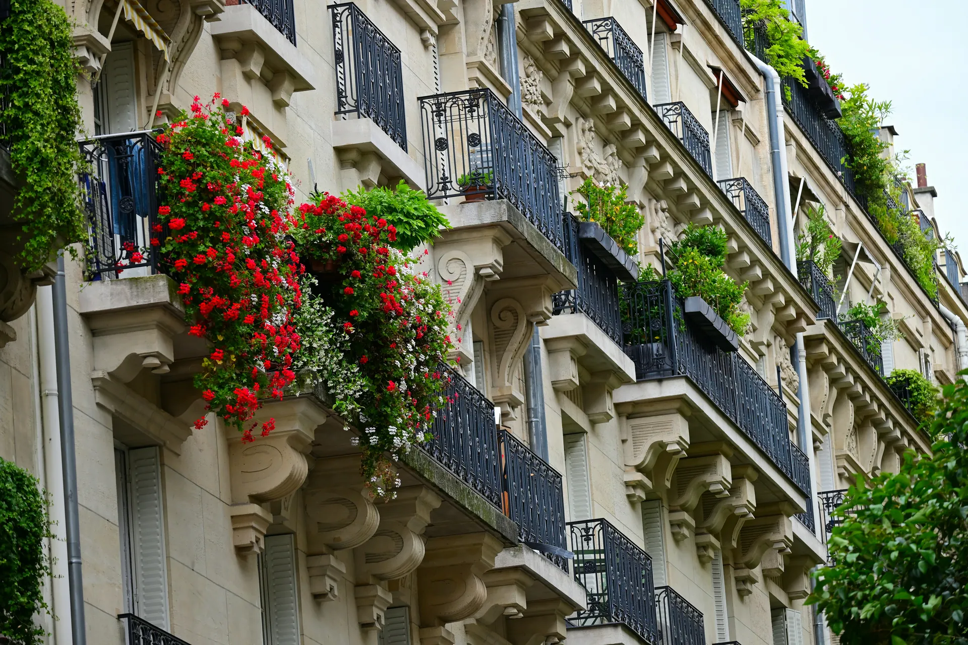 Devanture immeuble, balcons et fleurs 