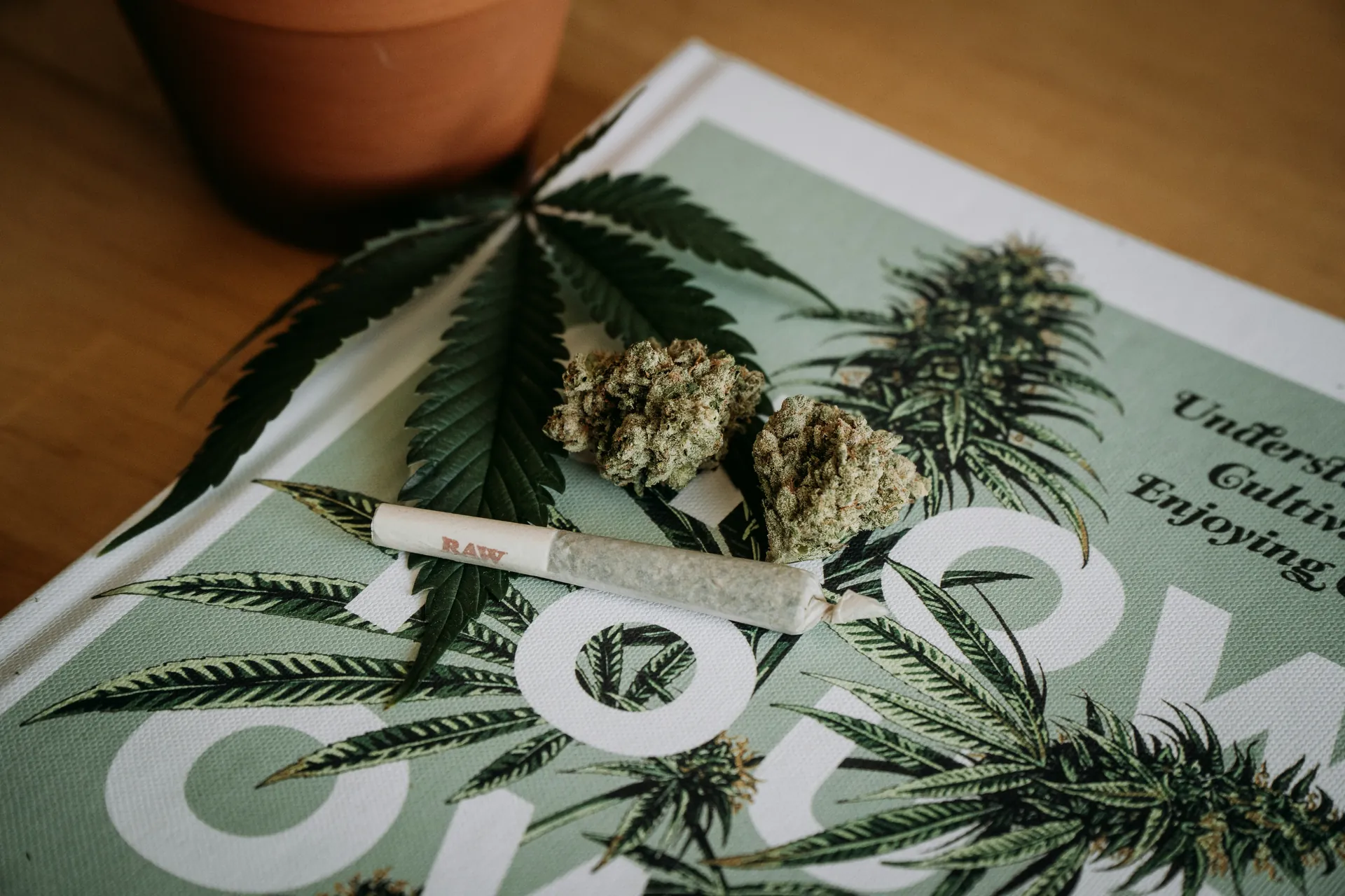 Mail Order Marijuana in Canada: Your Guide to Safe Cannabis Purchase - Imperial NYC 3