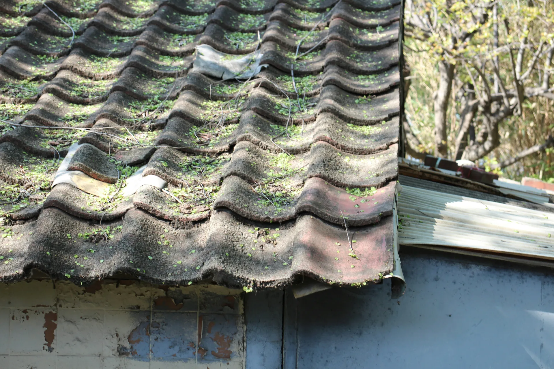 Immobilier et canicule : faut-il encore acheter dans l’ancien en 2025 ? Changement climatique