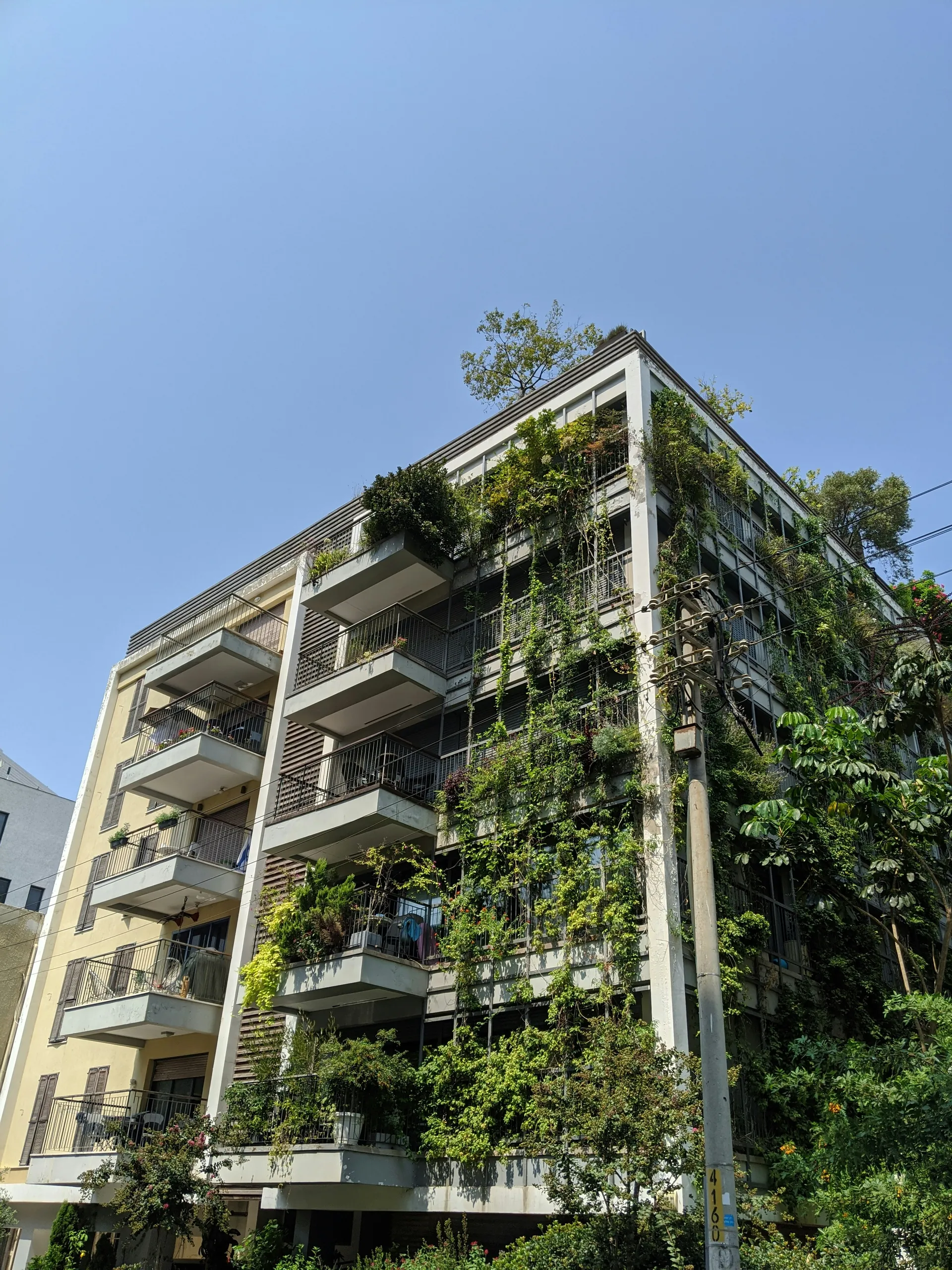 Immeuble végétal
